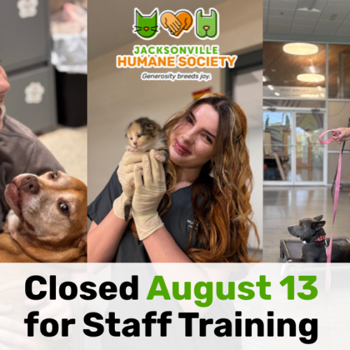JHS Closed August for Training Blog
