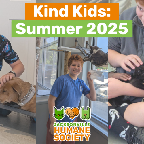 Kind Kid Headers