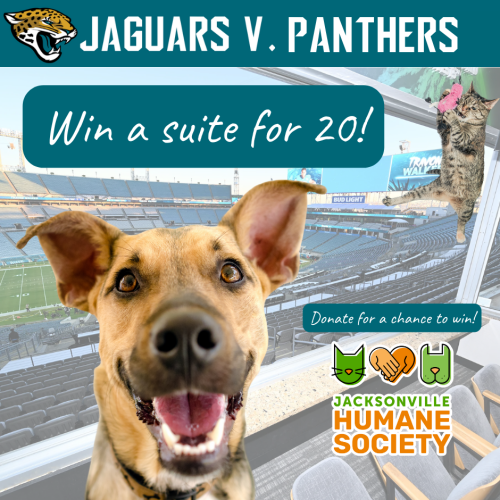 PANTHERS