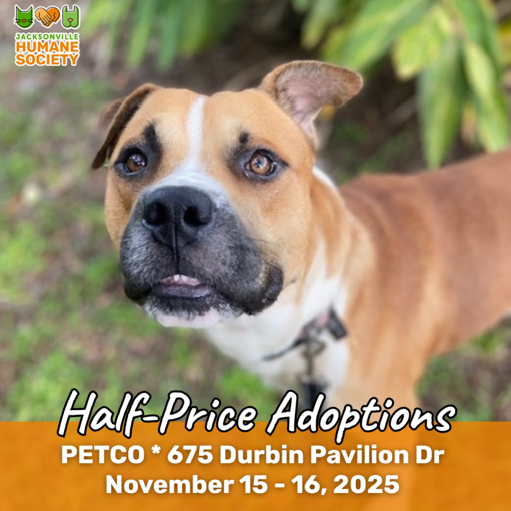 PETCO Half Price Adoptions Nov ( x px)