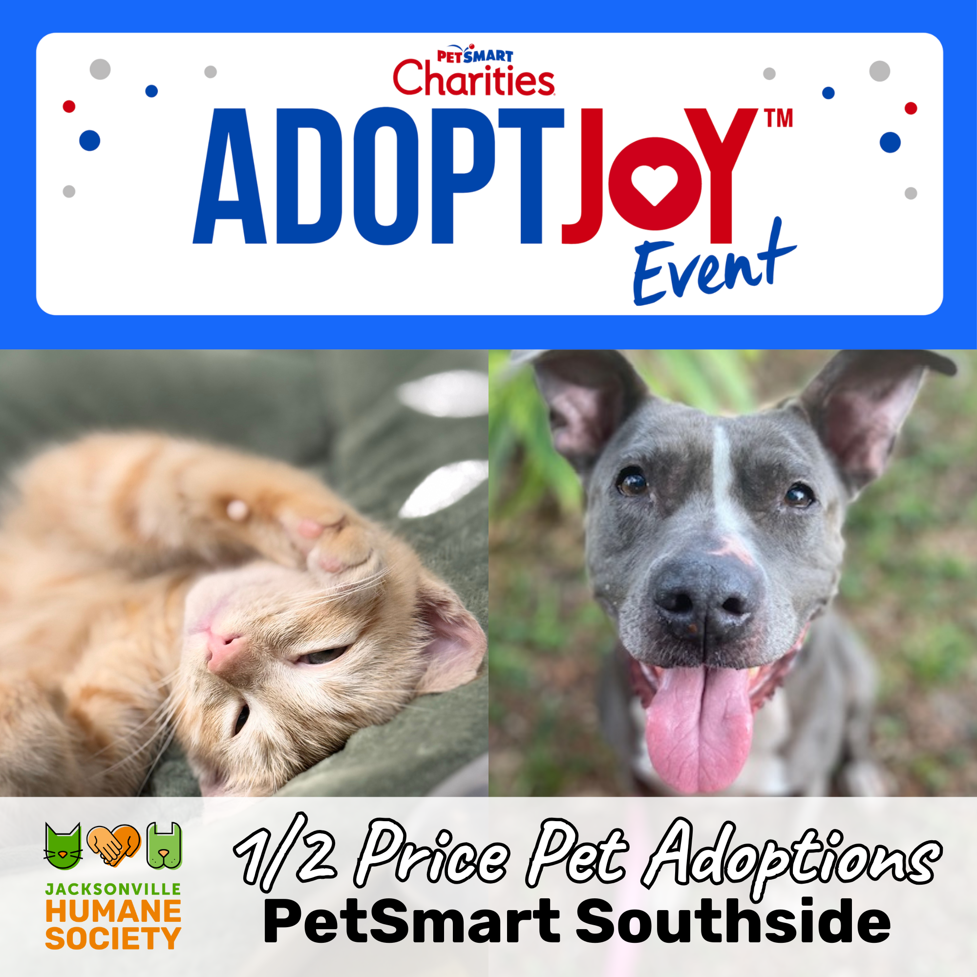 PetSmart Charities Adopt Joy August