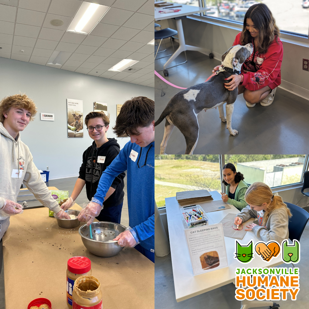 HS Service Day December