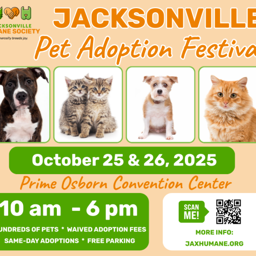 JACKSONVILLE Pet Festival Facebook Post