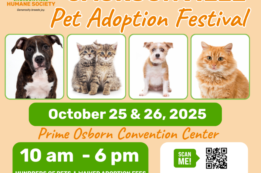JACKSONVILLE Pet Festival Facebook Post