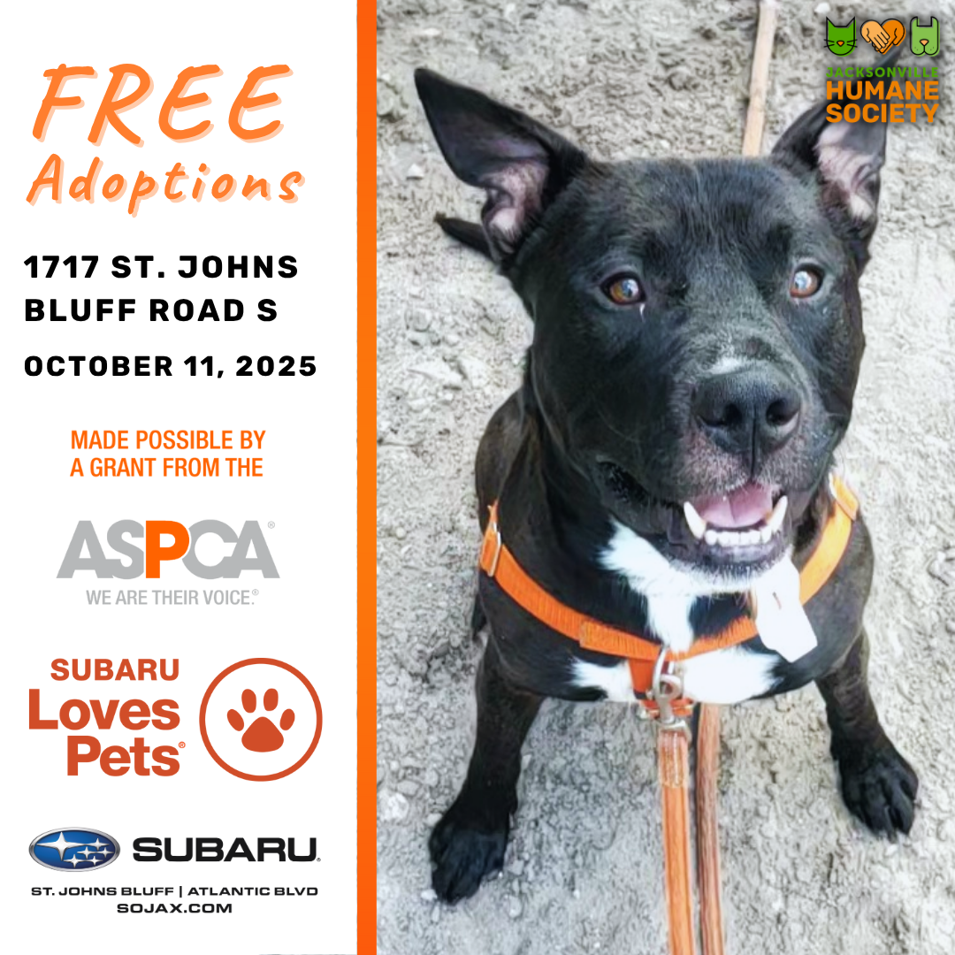 Subaru Adoption Event Oct