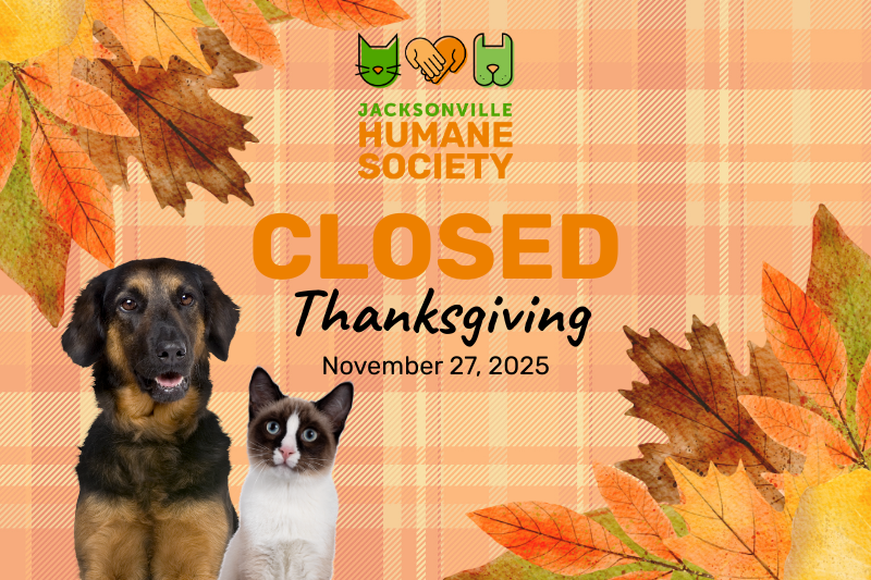 Closed for Thanksgiving Announcement