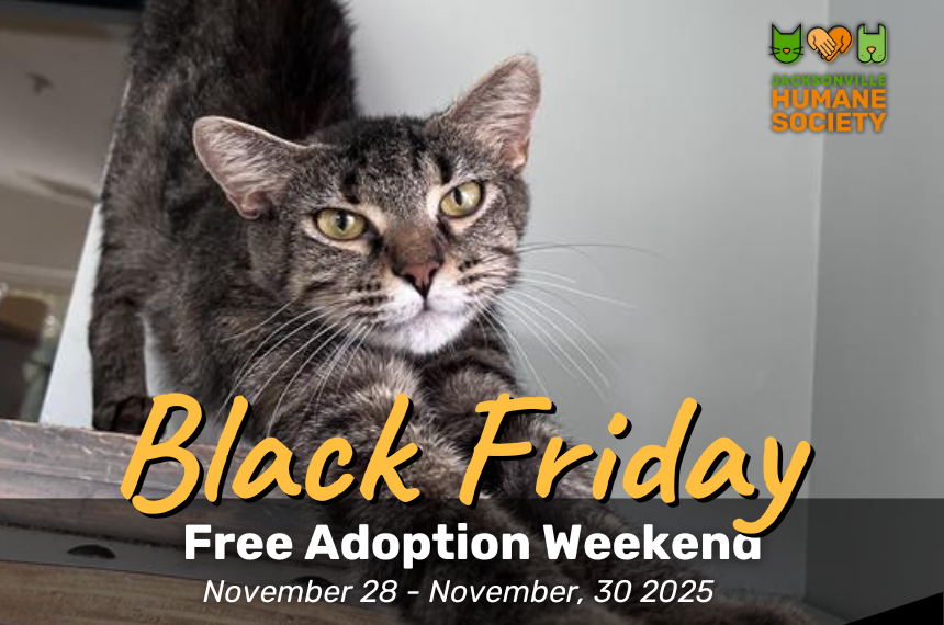 Final Stretch (Post on ) ()