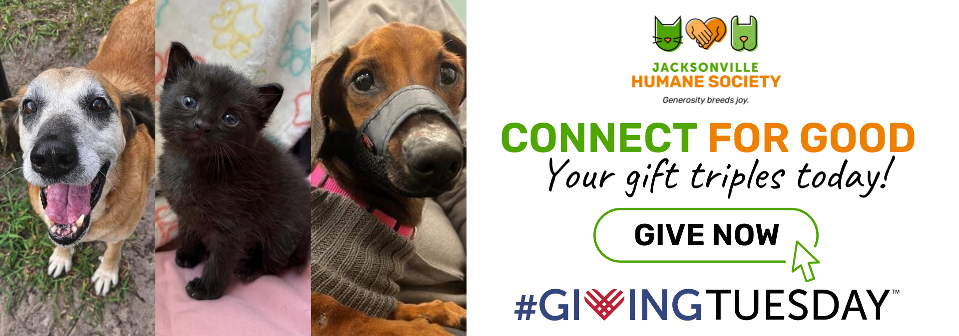 Giving Tuesday Pop Up Version