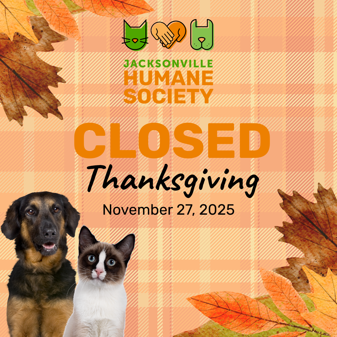 Happy Thanksgiving! ()