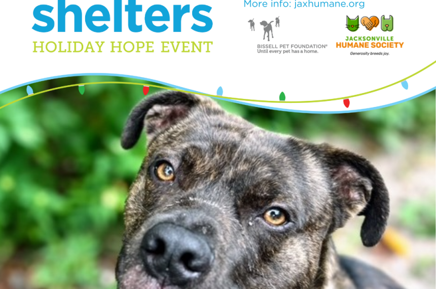 HolidayHope ETS SocialPosts OnePet () HolidayHope ETS SocialPosts OnePet ()