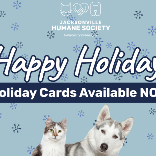 November (Veterans Day) () November (Veterans Day) ()