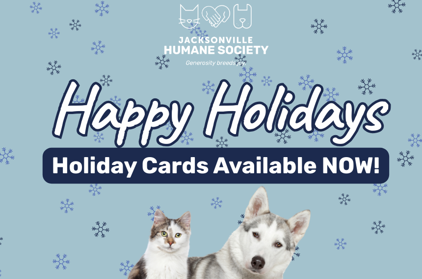 November (Veterans Day) ()