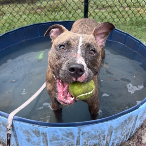 edddfeacabbad edddfeacabbad