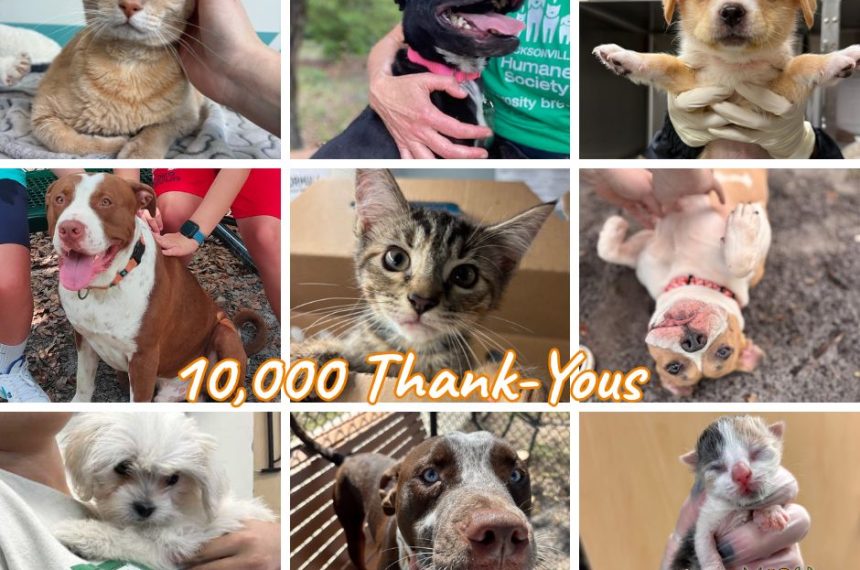 Thank You Graphic Thank You Graphic