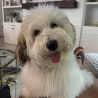 Benny Fritz Benny Fritz