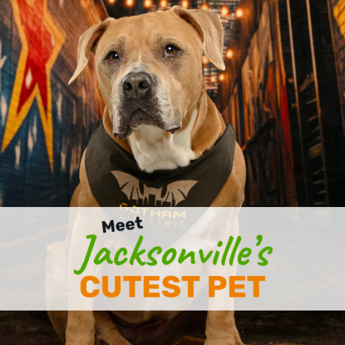 Daisy Belle Interview Featured Image Daisy Belle Interview Featured Image