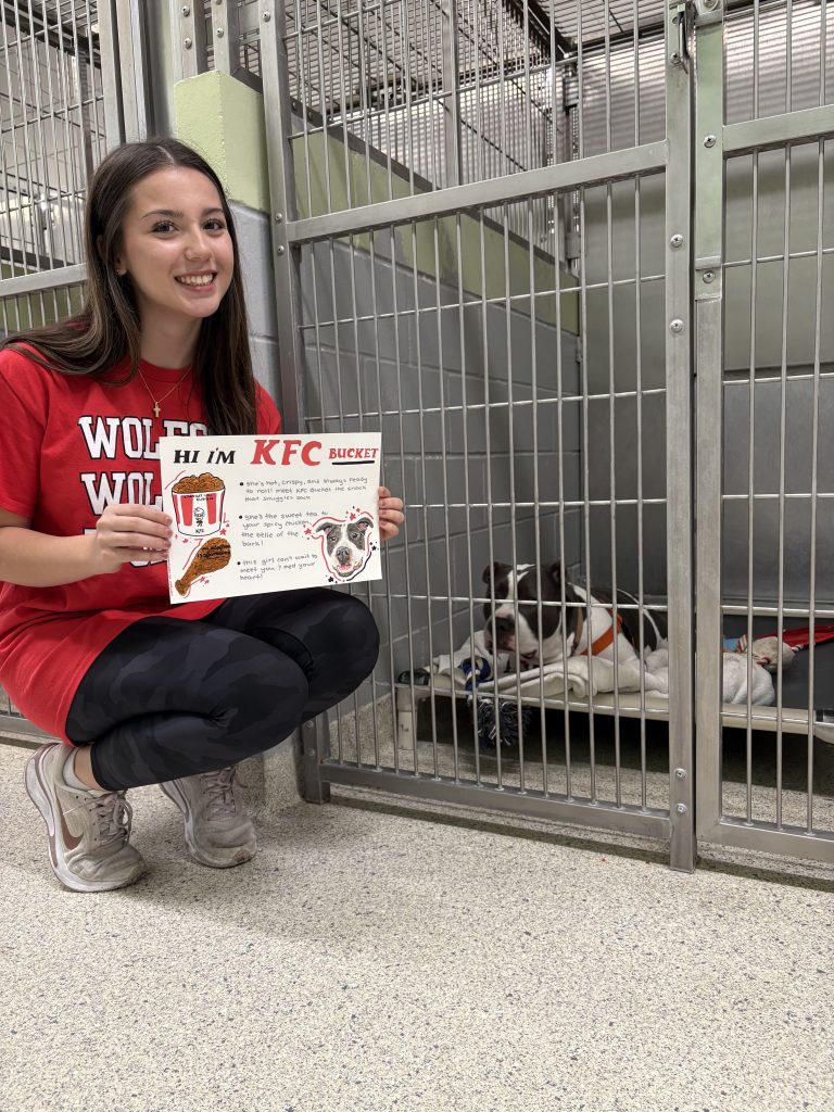 Wolfson High NAHS student Brianna Dooley pictured holding an adoption poster created for Big Girl Betty the dog by her kennel, formerly known as KFC Bucket.
