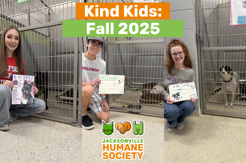 Learn how high school students are using the arts and generosity to inspire others and change the lives of pets in need!