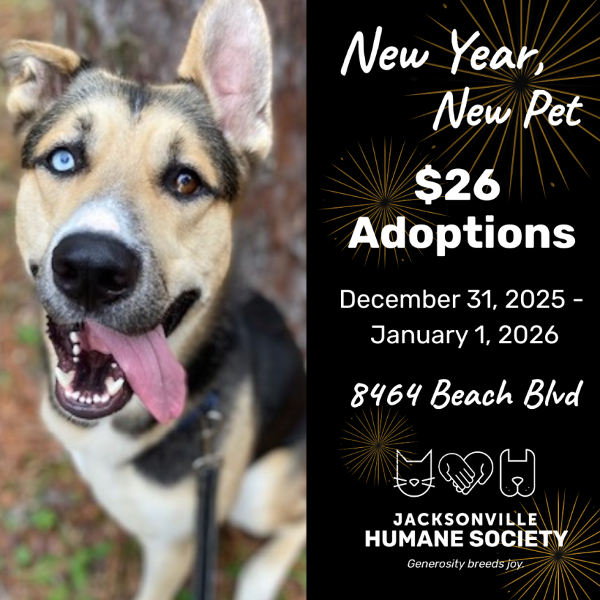 $26 Adoptions for 2026! - Jacksonville Humane Society