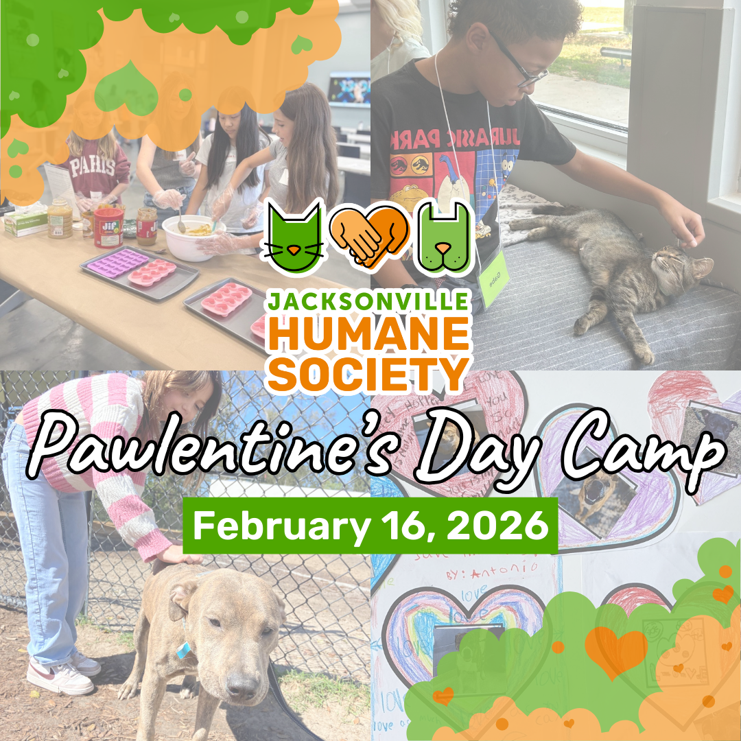 Pawlentines Day Camp
