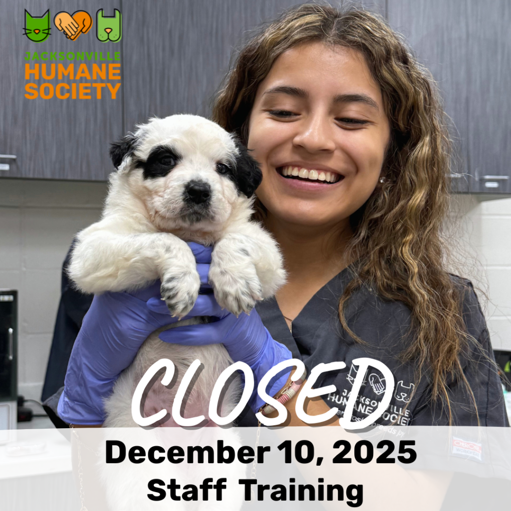 Closed for Staff Training