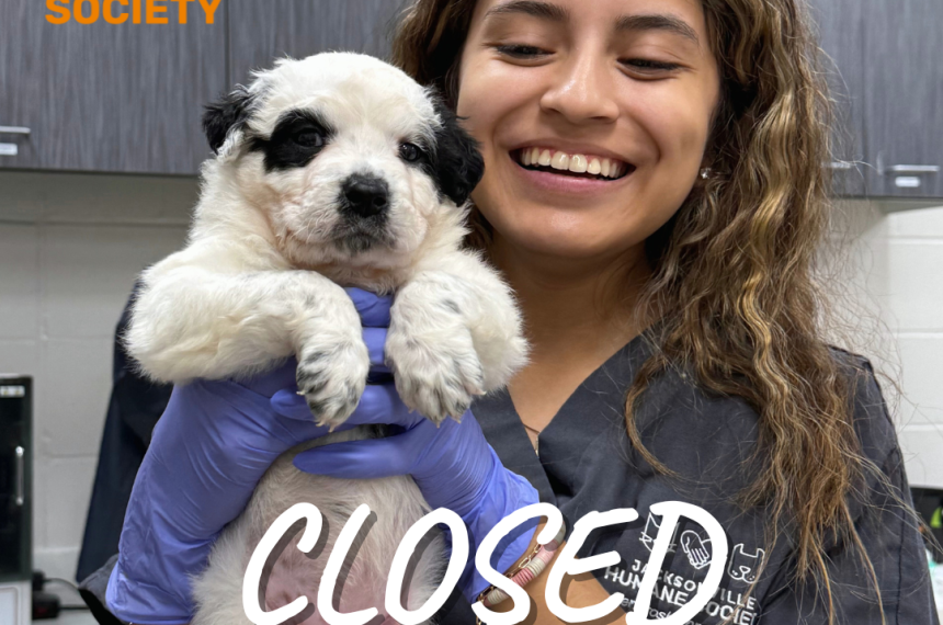 Closed for Staff Training Closed for Staff Training