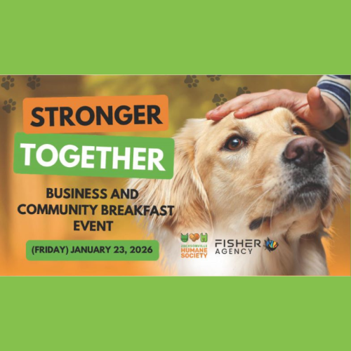 Untitled design Untitled design