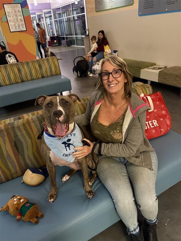 adfccfccaada badadbcefabadfd linkedin