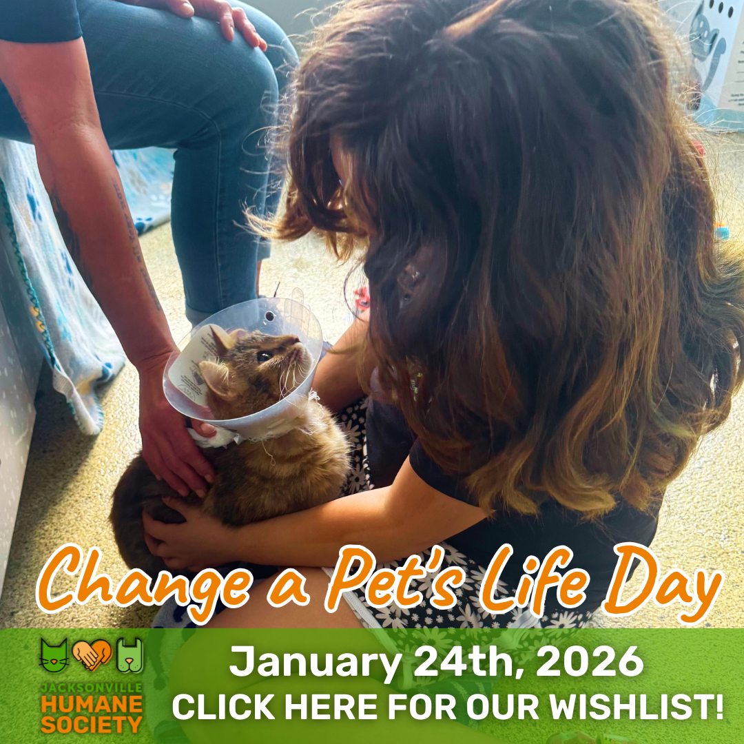 Change a Pet's Life Day (post announcement & st email) () Change a Pet's Life Day (post announcement & st email) ()