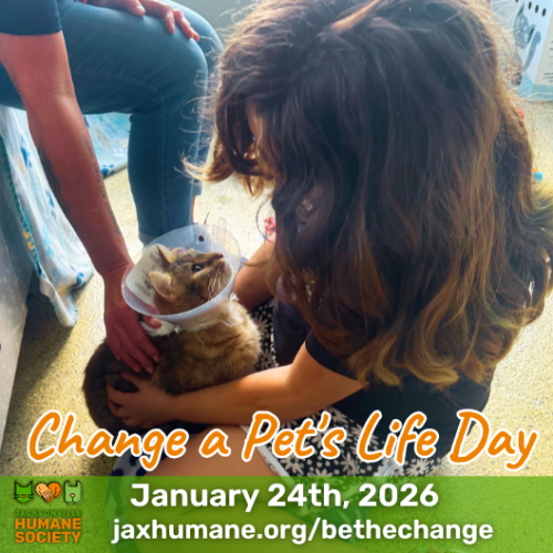 Change a Pet's Life Day (post announcement & st email) ()