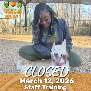 Closed for All Staff () ()