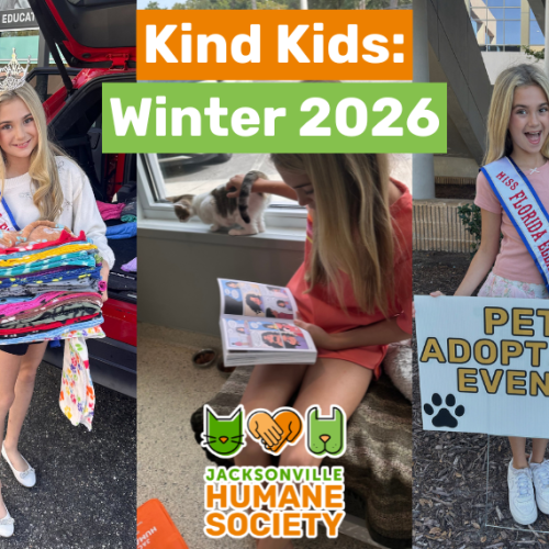 Kind Kid Banner Winter Addie updated