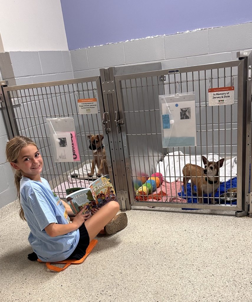 Addie is pictured on a cushion on the floor volunteering her time as a Pawsitive Reader and reading Animal Rescue Friends to some small dogs at JHS.