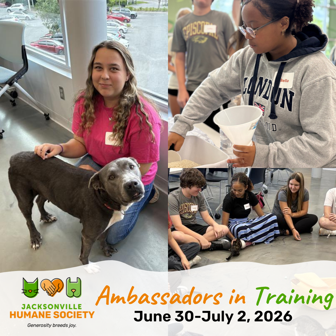 Ambassadors in Training UPDATED