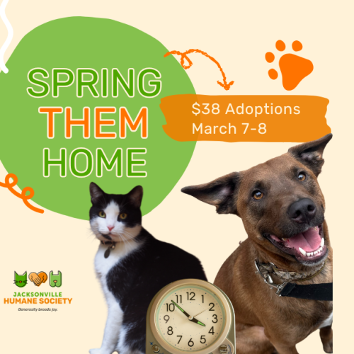 Spring Them Home Graphic picturing a black and white tuxedo cat, and a medium brindle dog with a clock placed between them.