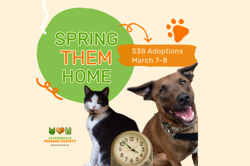 Spring Them Home Graphic picturing a black and white tuxedo cat, and a medium brindle dog with a clock placed between them.