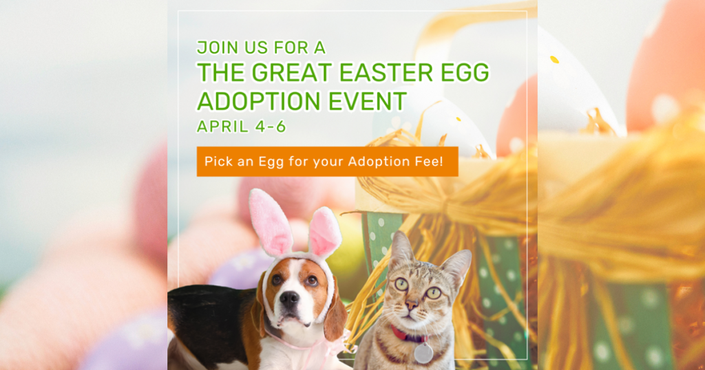 Graphic promoting “The Great Easter Egg Adoption Event” happening April 4–6, featuring a dog wearing bunny ears and a cat sitting beside colorful Easter eggs, with text that reads “Pick an Egg for your Adoption Fee!”