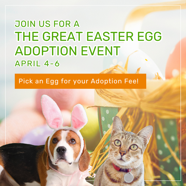 Graphic promoting “The Great Easter Egg Adoption Event” happening April 4–6, featuring a dog wearing bunny ears and a cat sitting beside colorful Easter eggs, with text that reads “Pick an Egg for your Adoption Fee!”