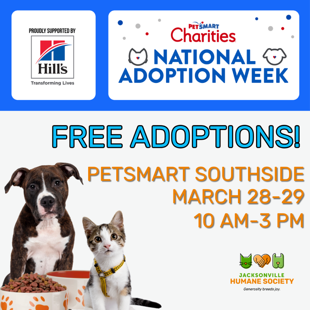 Free Pet Adoptions for National Adoption Week - Jacksonville Humane Society