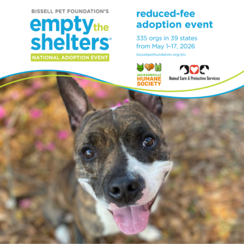 Promotional graphic for Bissell Pet Foundation’s Empty the Shelters reduced-fee adoption event. Text at the top announces the national adoption event taking place May 1–17, 2026, featuring 335 organizations in 39 states. Jacksonville Humane Society and Animal Care & Protective Services logos appear below the text. The lower portion shows a close-up photo of a happy brindle-and-white dog with upright ears and tongue out, looking up at the camera outdoors with blurred flowers and leaves in the background.
