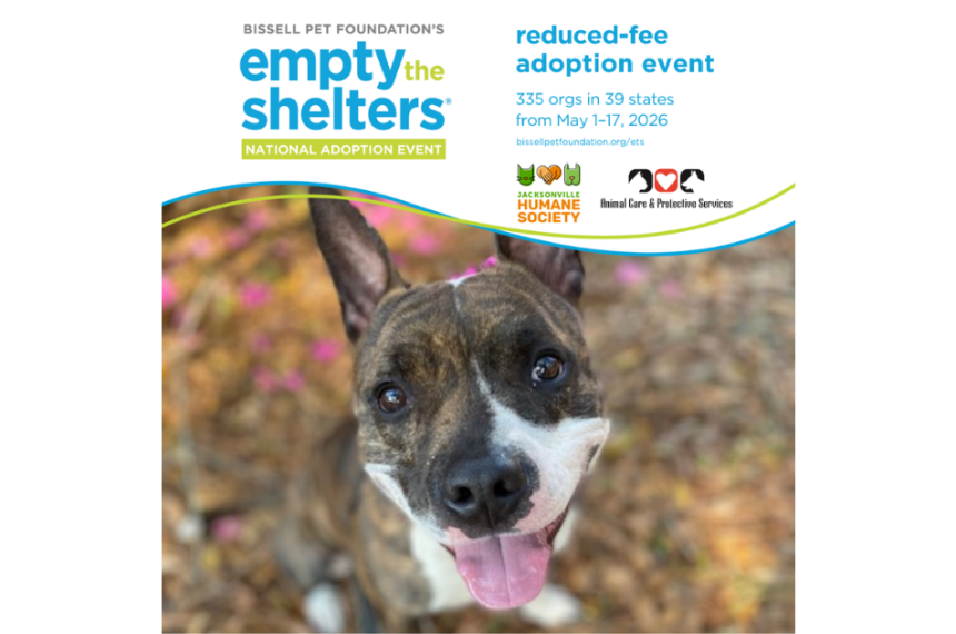 Promotional graphic for Bissell Pet Foundation’s Empty the Shelters reduced-fee adoption event. Text at the top announces the national adoption event taking place May 1–17, 2026, featuring 335 organizations in 39 states. Jacksonville Humane Society and Animal Care & Protective Services logos appear below the text. The lower portion shows a close-up photo of a happy brindle-and-white dog with upright ears and tongue out, looking up at the camera outdoors with blurred flowers and leaves in the background.
