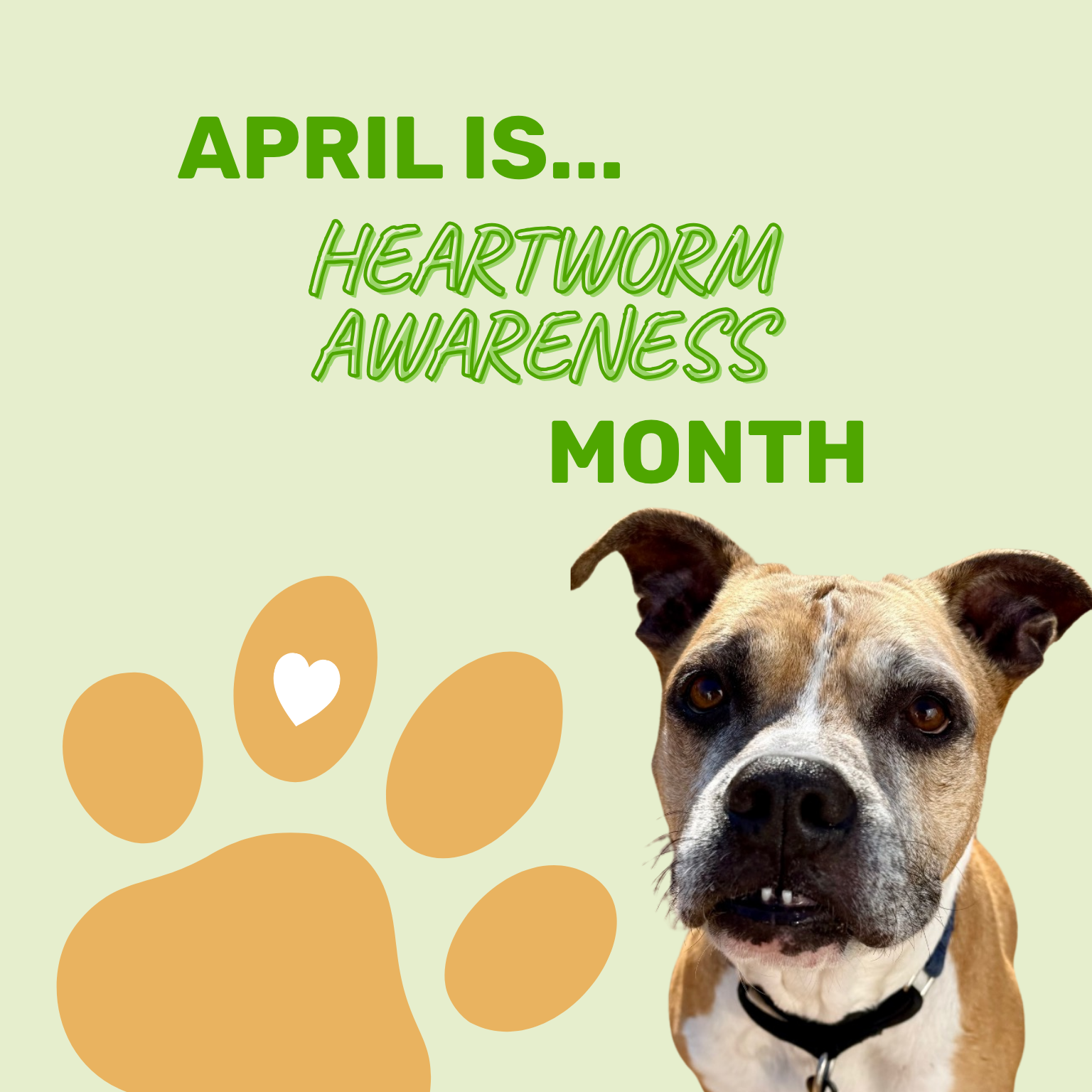 News & Blog Template (BW)