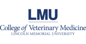 pp page logo lmu