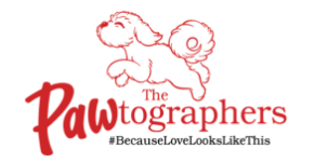 pp page logo pawtographers