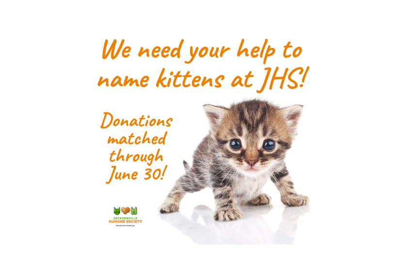 Graphic promoting the Jacksonville Humane Society's 