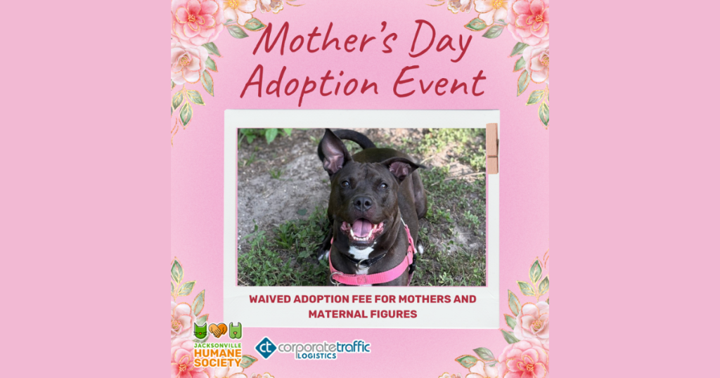 A pink promotional graphic for the Jacksonville Humane Society’s Mother’s Day Adoption Event. The design features floral accents in each corner and a polaroid-style photo in the center of a happy black dog wearing a pink harness, looking up at the camera with ears perked and mouth open. Text at the top reads “Mother’s Day Adoption Event,” and text below the photo reads “Waived Adoption Fee for Mothers and Maternal Figures.” The Jacksonville Humane Society and Corporate Traffic Logistics logos appear at the bottom.