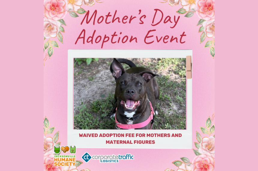 A pink promotional graphic for the Jacksonville Humane Society’s Mother’s Day Adoption Event. The design features floral accents in each corner and a polaroid-style photo in the center of a happy black dog wearing a pink harness, looking up at the camera with ears perked and mouth open. Text at the top reads “Mother’s Day Adoption Event,” and text below the photo reads “Waived Adoption Fee for Mothers and Maternal Figures.” The Jacksonville Humane Society and Corporate Traffic Logistics logos appear at the bottom.