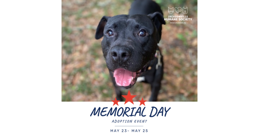 Promotional graphic for the Jacksonville Humane Society’s Memorial Day Adoption Event. The image features a close-up photo of a black dog looking up at the camera with bright eyes, an open mouth, and a happy expression while outdoors on a leash. The Jacksonville Humane Society logo appears in the top right corner. Beneath the photo, patriotic red stars frame the event title, “Memorial Day Adoption Event,” with event dates listed as May 21 through May 25.