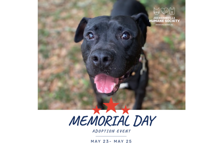 Promotional graphic for the Jacksonville Humane Society’s Memorial Day Adoption Event. The image features a close-up photo of a black dog looking up at the camera with bright eyes, an open mouth, and a happy expression while outdoors on a leash. The Jacksonville Humane Society logo appears in the top right corner. Beneath the photo, patriotic red stars frame the event title, “Memorial Day Adoption Event,” with event dates listed as May 21 through May 25.