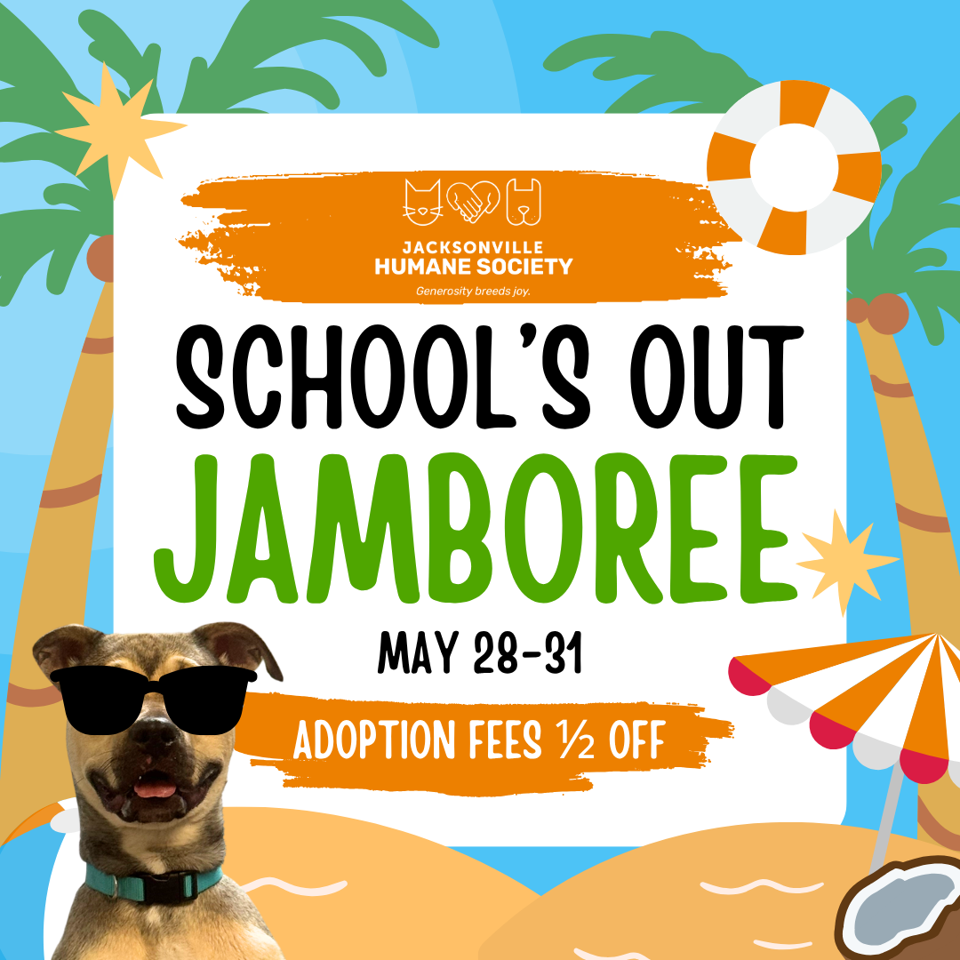 A colorful promotional graphic from the Jacksonville Humane Society announcing the “School’s Out Jamboree” adoption event taking place May 28–31. The design features a beach and summer theme with palm trees, sand, a beach umbrella, floaties, and bright blue skies. Large green and black text reads “School’s Out Jamboree” with smaller orange text stating “Adoption Fees ½ Off.” In the bottom left corner, a smiling dog wearing oversized black sunglasses appears against the beach background. The Jacksonville Humane Society logo and slogan, “Generosity breeds joy,” are displayed at the top.